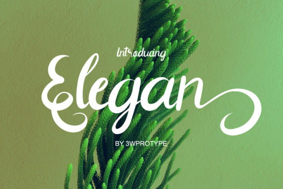 Elegan: A Refined Script Font for Editorial Design