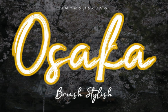 Osaka Font: A Modern Script for Web Design