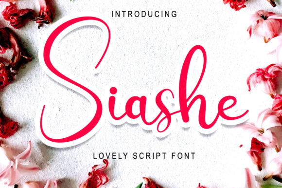Siashe Font: Elevating Web Design with Grace