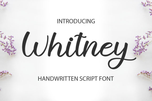 Withney: A Script Font for Modern Web Design